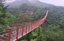 Explore DMZ from Seoul with Gondola and Suspension Bridge Option