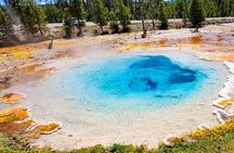From Bozeman Classic Yellowstone and Teton Tour 2 Day and 1 Night