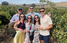 Vineyard Rides San Luis Obispo Sidecar Wine Adventure