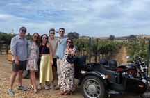 Scenic Sidecar Vineyard Adventure San Luis Obispo