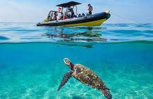 Turtle Canyon Snorkel Adventure - Small Group 6 Passengers