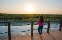 From Doha: North of Qatar Guided Tour with Transfers
