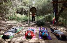 Gong Bath in the Magic Forest in San Pedro de Atacama