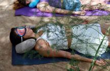 Gong Bath in the Magic Forest in San Pedro de Atacama
