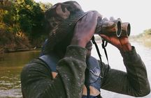 3 Days Exclusive Naaya Safari To Mole National Park
