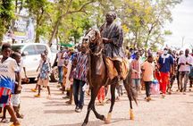 3 Days Exclusive Naaya Safari To Mole National Park
