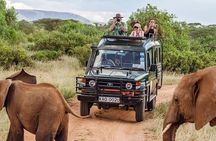 The Top Rated 6-Day Serengeti Budget Camping Safari in Tanzania