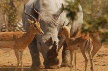 The Top Rated 6-Day Serengeti Budget Camping Safari in Tanzania