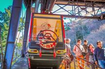 Tokyo Day Trip Mount Fuji Scenic Cable Car Experience