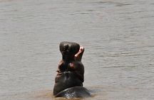 Day Trip to Hells Gate and Boat Ride in Lake Naivasha