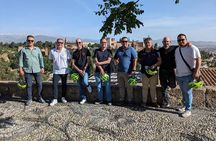 Discover Granada - Ebike 3H