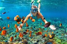 Nha Trang Mun Island Snorkeling Coral Reef Tour with BBQ Lunch