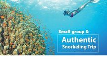 Real snorkel trip to explore Cham island by speedboat-SMALL GROUP