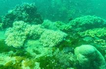 Real snorkel trip to explore Cham island by speedboat-SMALL GROUP