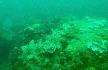 Real snorkel trip to explore Cham island by speedboat-SMALL GROUP
