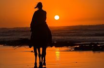Horseback Riding