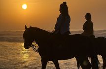 Horseback Riding in Essaouira - Essaouira HorseRiding