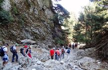 Imbros Gorge and Libyan Sea Day Tour From Chania