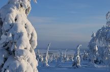 Riisitunturi National Park – Breathtaking Day Hike from Rovaniemi