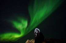 Northern Lights Small Group Tour from Reykjavik