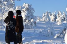 Riisitunturi National Park – Breathtaking Day Hike from Rovaniemi