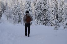 Riisitunturi National Park – Breathtaking Day Hike from Rovaniemi