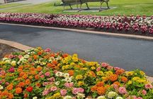 ROTORUA Highlights Tour In A Small Group