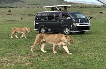 Nairobi National park ,Giraffe Center & Bomas Cultural Dance Show
