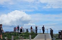 Auckland City Small Group Private Tour