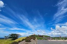 Auckland City Highlight Halfday Tour