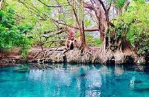 Moshi Tours: The Best Chemka Hot Spring Half Day Trip From Moshi