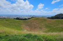 Auckland City Small Group Private Tour