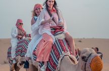 Dubai Desert Safari with BBQ, Dune, Live Shows