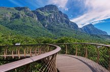 Half Day Tour: Table Mountain & KirstenBosch Botanical Gardens