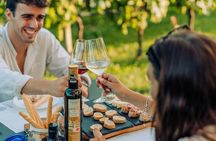 Wine and Food Tasting in the Vineyards in Lazise
