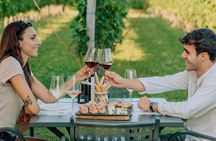 Wine and Food Tasting in the Vineyards in Lazise