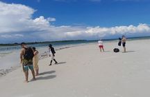 Elky Funzi Island Day Trip