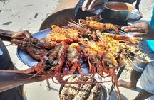 Elky Funzi Island Day Trip