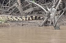 Elky Funzi Island Day Trip