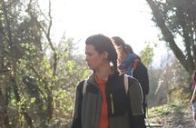Forest Bathing in Tuscany with Wild Crafted Tea 