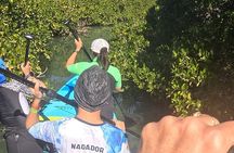 Sea Lions & Mega-Paddleboard Tour in Balandra