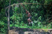 El Yunque Hike, Waterslide & Luquillo Kiosks Food with Transport
