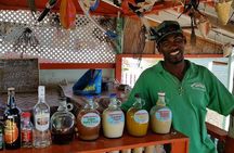 Kayak & Snorkel Champagne Bay, Farm Visit & Hot Springs Soufriere