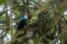 Kigali to Kayonza Akagera National Park 4WD Tour