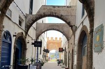 Day Trip to Essaouira from Agadir or Taghazout