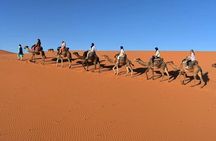 4-Day Sahara & Palm Oasis Adventure: Marrakech to Merzouga
