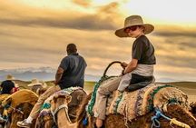 Agafay Desert Sunset Camel Ride, Moroccan Dinner & Fire Show