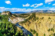 From Bozeman Yellowstone Full Day Tour Upper Loop