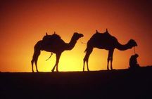 Wadi Rum Cave Camping with Afternoon/Sunset Camel Ride