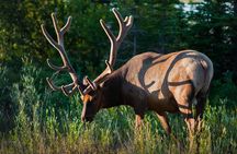 Banff or Canmore: Shuttle to Moraine Lake